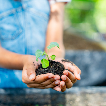 Агротехнологические классы в общеобразовательных организациях - fgospostavki.ru - Ивантеевка
