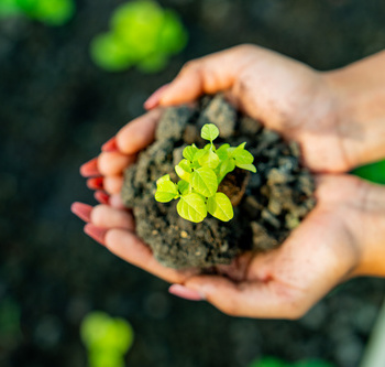 Инженерные биологические системы: междисциплинарное образование в школах - fgospostavki.ru - Ивантеевка