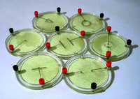 Демонстрационный комплект «Силовые линии электрического поля разных систем зарядов» - fgospostavki.ru - Ивантеевка