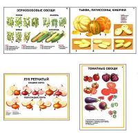 Плакаты ПРОФТЕХ "Ассортимент овощных культур" (12 пл, винил, 70х100) - fgospostavki.ru - Ивантеевка