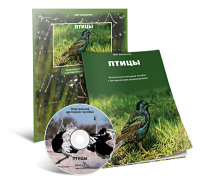 Электронное наглядное пособие «Птицы» - fgospostavki.ru - Ивантеевка