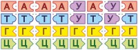 Модель-аппликация Удвоение ДНК и транскрипция РНК - fgospostavki.ru - Ивантеевка