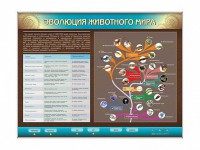 Интерактивный электрифицированный стенд "Эволюция животного мира" - fgospostavki.ru - Ивантеевка