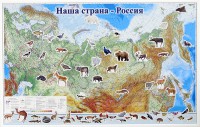Магнитные карточки "Животные" - fgospostavki.ru - Ивантеевка
