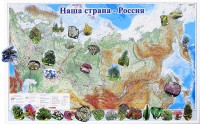 Магнитные карточки "Растения" - fgospostavki.ru - Ивантеевка