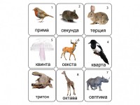Набор магнитных карточек по музыке "Животные" (9 штук) - fgospostavki.ru - Ивантеевка