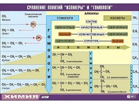 Таблица демонстрационная "Сравнение понятий изомер и гомолог" (винил 70x100) - fgospostavki.ru - Ивантеевка
