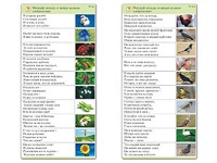 Комплект карточек (10) "Обучающий калейдоскоп. Природа" - fgospostavki.ru - Ивантеевка