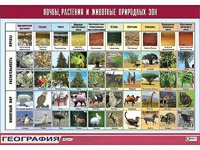 Таблица демонстрационная "Почвы, растения и животные природных зон" (винил 70*100) - fgospostavki.ru - Ивантеевка
