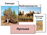 Модель-аппликация "Природные зоны России" (ламинированная) - fgospostavki.ru - Ивантеевка