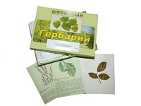 Гербарий "Дикорастущие растения" (30 видов, с иллюстрациями) - fgospostavki.ru - Ивантеевка