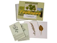 Гербарий "Лекарственные растения" (22 вида с иллюстрациями) - fgospostavki.ru - Ивантеевка