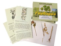 Гербарий "Систематика растений. Семейство Бобовые. Злаки" (раздаточный) - fgospostavki.ru - Ивантеевка