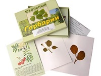 Гербарий "Систематика растений. Семейство Розоцветные" (раздаточный) - fgospostavki.ru - Ивантеевка
