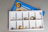 Коллекция "Раковины моллюсков" - fgospostavki.ru - Ивантеевка