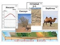 Модель-аппликация "Природные зоны" - fgospostavki.ru - Ивантеевка