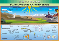 Таблица "Возникновение жизни на земле" (100х140 сантиметров, винил) - fgospostavki.ru - Ивантеевка