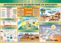 Таблица "Антропогенное воздействие на биосферу" (100х140 сантиметров, винил) - fgospostavki.ru - Ивантеевка