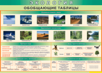 Таблица "Экология. Обобщающие таблицы" (100х140 сантиметров, винил) - fgospostavki.ru - Ивантеевка