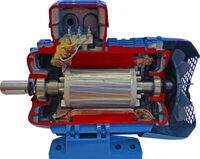 Учебная модель «Электродвигатель асинхронный в разрезе» - fgospostavki.ru - Ивантеевка