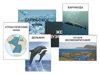 Модель-аппликация "Океаны. Знакомство" (ламинированная) - fgospostavki.ru - Ивантеевка