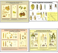 Плакаты ПРОФТЕХ "Вредители и болезни с/х культур и меры борьбы с ними" (11 пл, винил, 70х100) - fgospostavki.ru - Ивантеевка