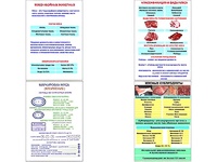 Плакаты ПРОФТЕХ "Классификации и виды мяса" (4 пл, винил, 70х100) - fgospostavki.ru - Ивантеевка