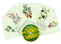 Интерактивный наглядный комплекс "Гербарий "Для начальной школы" - fgospostavki.ru - Ивантеевка