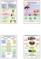 Плакаты ПРОФТЕХ "Классификация овощей и переработка" (8 пл, винил, 70х100) - fgospostavki.ru - Ивантеевка