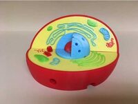 Модель растительной клетки - fgospostavki.ru - Ивантеевка