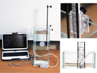 Набор демонстрационный «Гидростатика и плавание тел» - fgospostavki.ru - Ивантеевка