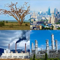 Модель-аппликация Биосфера и человек - fgospostavki.ru - Ивантеевка
