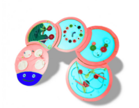 Тактильно-развивающая панель «Гусеница» - fgospostavki.ru - Ивантеевка