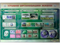 Электрифицированный стенд "Уровни организации жизни" - fgospostavki.ru - Ивантеевка