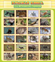 Стенд "Красная книга - млекопитающие" - fgospostavki.ru - Ивантеевка