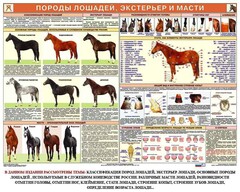 Комплект плакатов "Служебное коневодство" - fgospostavki.ru - Ивантеевка