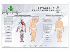 Электрифицированный стенд "Остановка кровотечения" - fgospostavki.ru - Ивантеевка