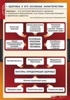 Комплект таблиц. ОБЖ. Здоровый образ жизни. - fgospostavki.ru - Ивантеевка