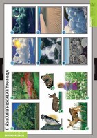 Комплект таблиц. Окружающий мир. Летние и осенние изменения в природе. - fgospostavki.ru - Ивантеевка