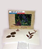Гербарий "Дикорастущие растения" (28 видов) - fgospostavki.ru - Ивантеевка