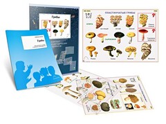 Комплект кодотранспарантов "Грибы" - fgospostavki.ru - Ивантеевка