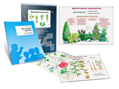 Комплект кодотранспарантов "Культурные растения" - fgospostavki.ru - Ивантеевка
