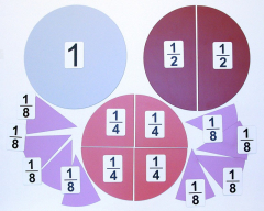 Набор магнитных карточек "Доли и дроби - 1" - fgospostavki.ru - Ивантеевка