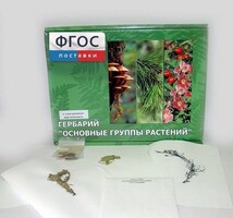 Гербарий "Основные группы растений" (52 листа) - fgospostavki.ru - Ивантеевка