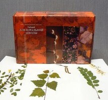 Гербарий для Начальной школы (28 видов) - fgospostavki.ru - Ивантеевка