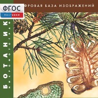 Ботаника. Микрофотографии. (Цифровая база изображений) - fgospostavki.ru - Ивантеевка