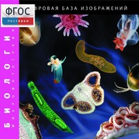 Биология. Микрофотографии. (Цифровая база изображений) - fgospostavki.ru - Ивантеевка