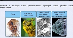Интерактивные курсы. Биология 5 класс. Расширенный - fgospostavki.ru - Ивантеевка
