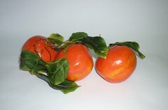 Ветка муляжей "Гранат" - fgospostavki.ru - Ивантеевка