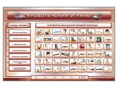 Трехсекционный базовый комплект "Травмы. Кровотечения. Ожоги" для учащихся общеобразовательных учреждений - fgospostavki.ru - Ивантеевка